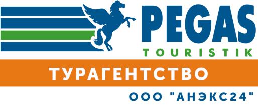 Сайт пегас иркутск. Стерлитамак Пегас Туристик. Пегас Туристик лого. Компания Пегас. Pegas туроператор логотип.